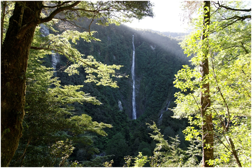 05 - Milford Sound (24).jpg